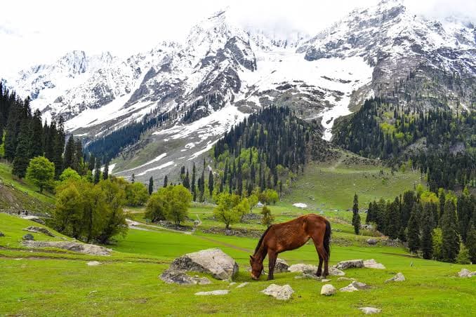 Srinagar, Gulmarg, Pahalgam landscape